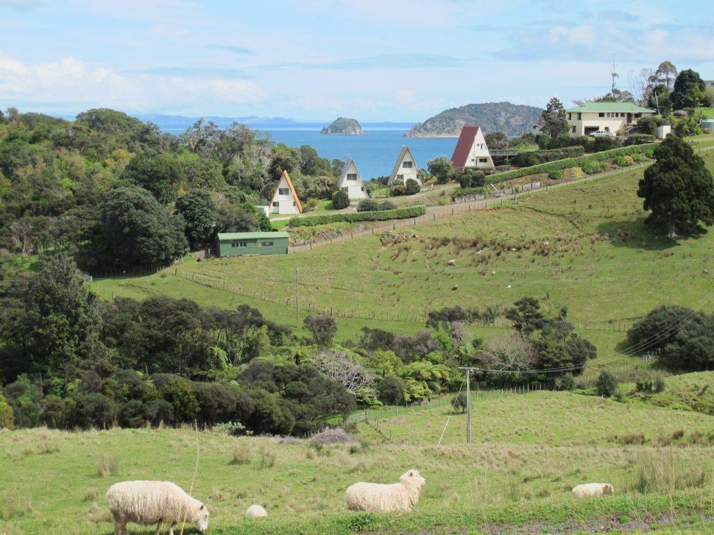 Pohutukawa Coastal Chalets Coromandel Bagian luar foto